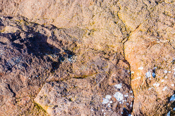 close up detail of rock surface with variety of colors under natural sunlight