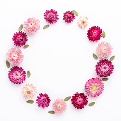 Flower composition. Frame made of dry flowers on white background. Flat lay. Top view. Copy space. Square - Image