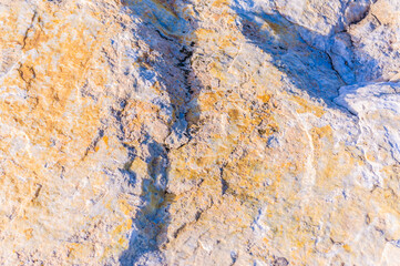 close up detail of rock surface with variety of colors under natural sunlight
