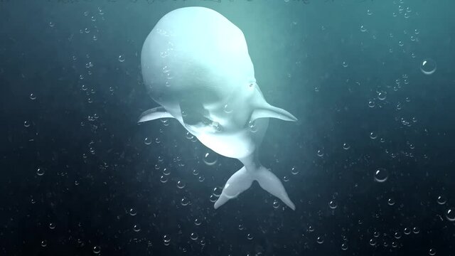 3D conceptual work showing a white sperm whale in the depths.