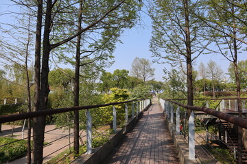 Fototapeta na wymiar Yeouido Seonyudo Park, South Korea