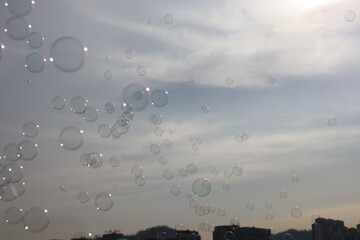 Soap bubbles on blue sky