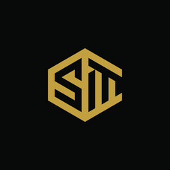 Initial letter SM hexagon logo design vector