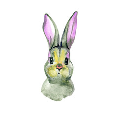 Watercolor illustration with cute bunny isolated on white background. Card for Easter