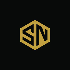 Initial letter SN hexagon logo design vector