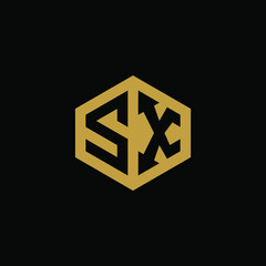 Initial letter SX hexagon logo design vector