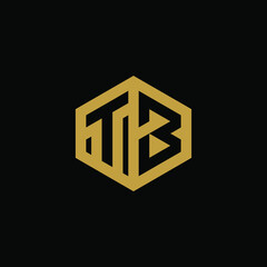 Initial letter TB hexagon logo design vector