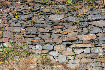 A stone wall in the winter season covered with vines and grasses.