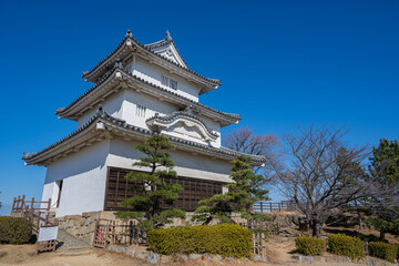 Fototapeta premium 丸亀城