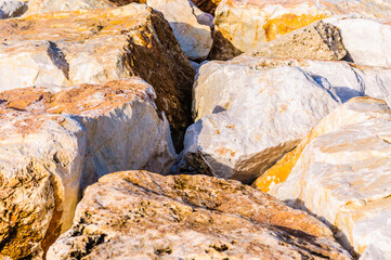 close up detail of rock surface with variety of colors under natural sunlight