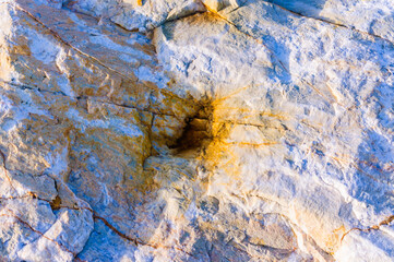 close up detail of rock surface with variety of colors under natural sunlight
