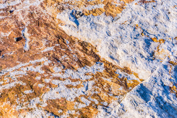 close up detail of rock surface with variety of colors under natural sunlight