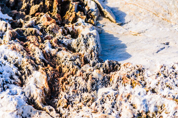 close up detail of rock surface with variety of colors under natural sunlight