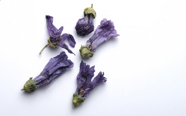 Obraz premium mallow dried flowers for tea