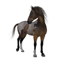 Obraz premium 3d render of a beautiful mustang