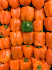 Chile Morr&oacute;n naranja y verde verduras presentadas a consumidores en un mercado