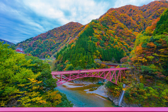 黒部峡谷鉄道トロッコ列車の窓からの秋の風景