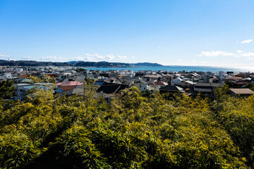 Fototapeta na wymiar 神奈川県鎌倉市 長谷寺から眺める街並み