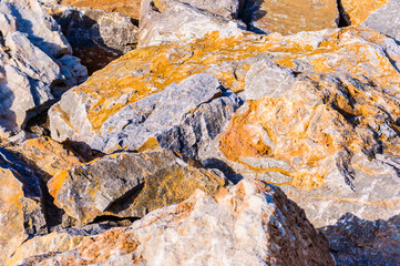 close up detail of rock surface with variety of colors under natural sunlight