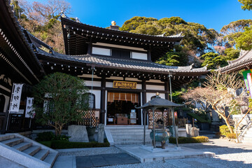 Fototapeta premium 神奈川県鎌倉市 長谷寺 阿弥陀堂