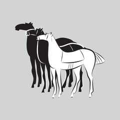 Three saddled standing horses. Black and white stallions silhouettes on gray background. Minimalistic style. Horse logo. Design idea for stable, farm, equestrian competition. Vector illustration EPS10