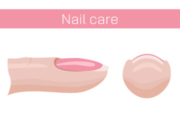 Nail care. Finger with nail, side and front view. Illustration for the manicure guide. Vector illustration