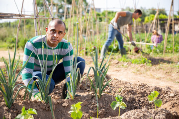 Male latino farmer weeds bed of vegetables in the garden