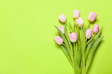 Beautiful tulip flowers on color background