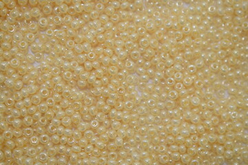 Beige beads scattered on a white background. Materials for needlework.