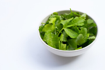 Chinese celery leaves in white bowl on white