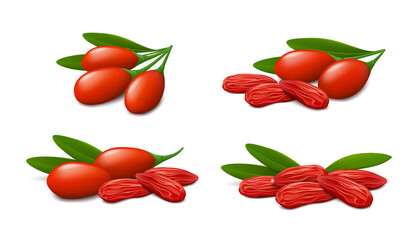 Fresh and dried goji berries with green leaves isolated on white background. Realistic vector illustration.