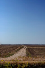 Fototapeta premium Dirt road among a plowed agricultural field. Fertile land after harvest against a clear blue sky.