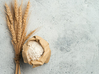 Wheat flour in paper bag and spikes over gray cement background. Food and baking ingredient - all-purpose flour with copy space