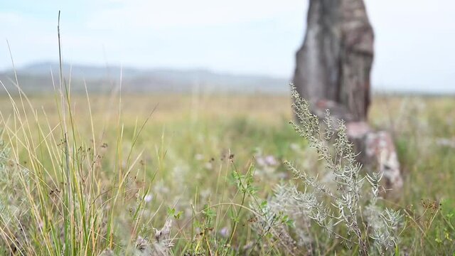 Mounds of the Bronze Age in the steppe in Khakassia