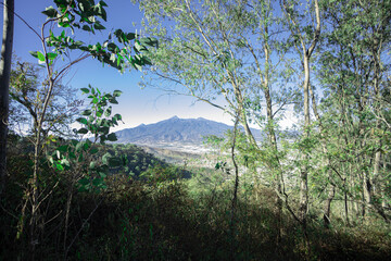 CD GUZMAN 2