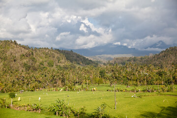 Fototapeta na wymiar Mountain landscape, nature of Bali island. Mountains and rice fields on a sunny morning.