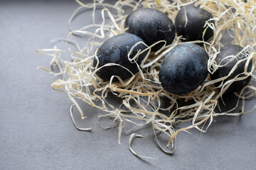 Dark Easter eggs dyed with natural dyes. Dyed eggs in a dark blue tone. Easter festive background,...