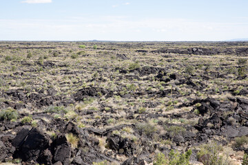 Volcanic landscape in Valley of Fires Recreation Area, New Mexico, USA