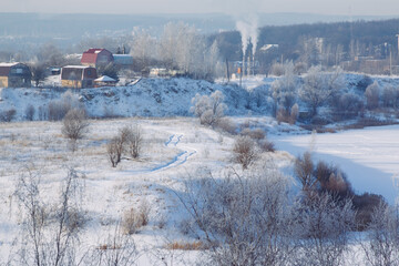 Fototapeta premium snowy forest, winter nature