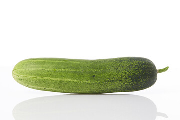 Fresh cucumber on white background