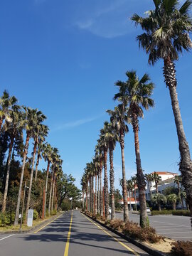 제주도 풍경