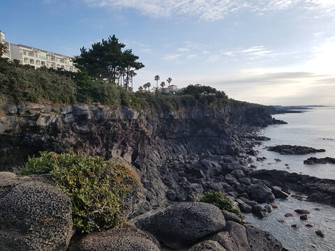 제주도 풍경