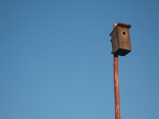 bird house 