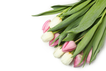 Beautiful tulips bouquet isolated on white background
