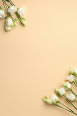Beautiful white roses on beige background, space for text