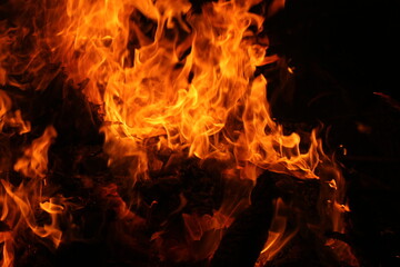 ognisko 2020 © menhiros