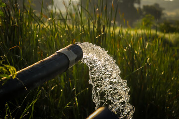 Pumping water out of plastic pipe into the ground,Water from a well filled a pond for irrigation,Irrigation water from the source,Water flow from large pump tube in Farm,being flush out a heavy tube,