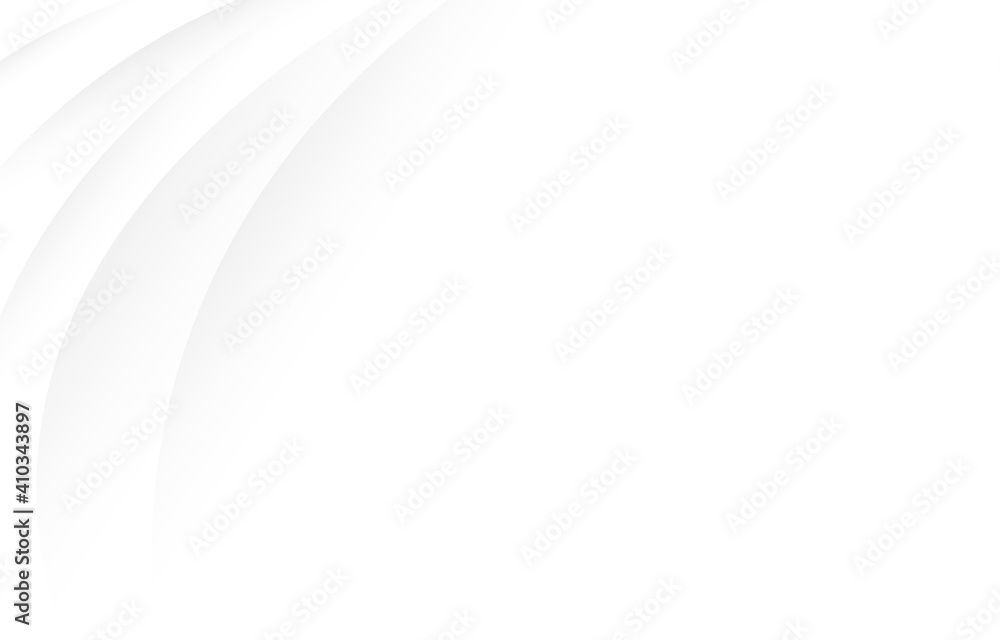 Wall mural abstract white and gray lines curve smooth modern with space subtle background vector illustration.