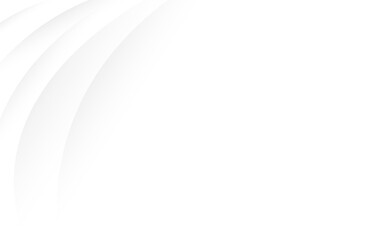 Abstract white and gray lines curve smooth modern with space subtle background vector illustration.