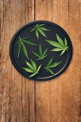 Layout of marijuana leaves, cannabis of different sizes on a round black dish on a wooden background, flat lay mockup for products with hemp and cannabidiol and CBD oil